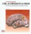 David Hubel - L'Oeil, Le Cerveau Et La Vision. Les Etapes Cerebrales Du Traitement Visuel.