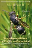 Bruno Gereys - Vespidae solitaires de France métropolitaine (Hymenoptera : Eumeninae, Masarinae).