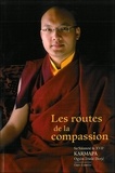 Ogyèn Trinlé Dorjé - Les routes de la compassion.