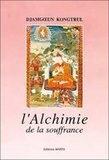 Jamgön Kongtrül Lodreu Thayé - L'Alchimie De La Souffrance.
