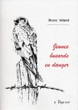Bruno Voland - Jeunes busards en danger.