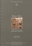 Stephan Fichtl - Murus celticus - Architecture et fonctions des remparts de l'âge du Fer.