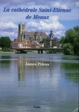 James Prieux - La cathédrale Saint-Etienne de Meaux.