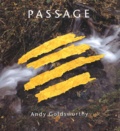 Andy Goldsworthy - Passage.