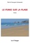 Patrick Bousquet - Le piano sur la plage.