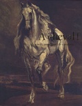Daniel Roche et Daniel Reytier - A cheval ! - Ecuyers, amazones & cavaliers du XIVe au XXIe siècle.