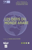Didier Billion et Pascal Boniface - Les défis du monde arabe.