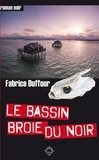 Fabrice Duffour - Le bassin broie du noir.