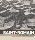 Denis Fontaine - Saint-Romain : à l'épreuve de l'art.