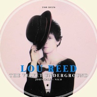 Stan Cuesta - Lou Reed - The Velvet Underground, John Cale, Nico.