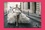 Patrick Cabasset - Oui je le veux ! - Les 90 robes de mariée les plus extraordinaires.