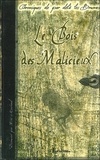 Eric Marchand - Chroniques de par delà les brumes Tome 1 : Le Bois des Malicieux.