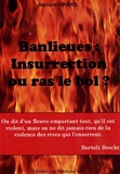 Bernard Girard - Banlieues : Insurrection ou ras le bol ?.