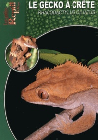 Stefanie Bach - Le gecko à crête de Nouvelle-Calédonie - Rhacodactylus ciliatus.