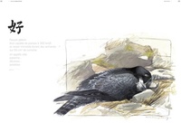 Bird attitude. Le comportement des oiseaux en 7 nouvelles illustrées d'aquarelles, de poèmes et de calligraphies
