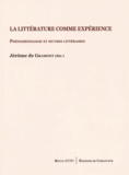 Jérôme de Gramont - La littérature comme expérience - Phénoménologie et oeuvres littéraires.