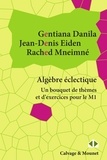 Gentiana Danila et Jean-Denis Eiden - Algèbre éclectique - Un bouquet de thèmes et d'exercices pour le M1.
