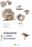 Stéphane Brousse - Oiseaux des côtes bretonnes.