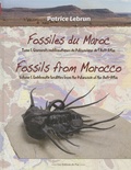 Patrice Lebrun - Fossiles du Maroc - Tome 1, Gisements emblématiques du Paléozoïque de l'Anti-Atlas.