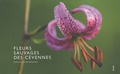 Jean Du Boisberranger - Fleurs sauvages des Cévennes.