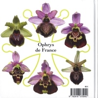Ophrys de France, d'Occitanie, de Catalogne et de Corse