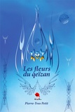 Pierre-Yves Petit - Les fleurs du Qeïzan.