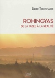 Didier Treutenaere - Rohingyas de la fable à la réalité.