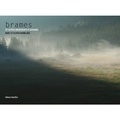 Marc Namblard et Olivier Namblard - Brames (et autres mouvements d'automne). 1 CD audio