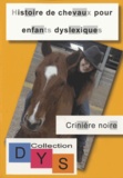 Danaé Filleur et Fabien Filleur - Histoire de chevaux pour enfants dyslexiques - Crinière noire.
