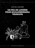 Mathieu Harnois-Blouin - Un peu de lumière pour schlumbergera truncata.