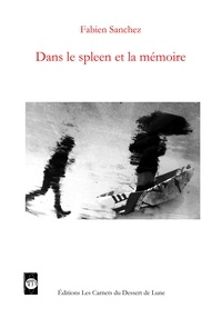 Fabien Sanchez - Dans le spleen et la mémoire.