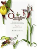 Pierre Moënne-Loccoz - Orchidées sauvages des Ardennes, des Savoies, du Var, du Vercors et d'Andalousie - 44 Planches, crayons de couleur et aquarelles.