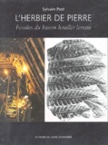 Sylvain Post - L'herbier de pierre - Fossiles du bassin houiller lorrain.