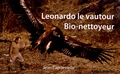 Jean Capdevielle - Leonardo le vautour bio-nettoyeur.