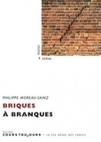 Philippe Moreau-Sainz - Briques à branques.