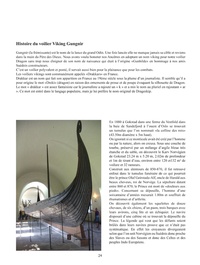 Gungnir voilier viking. Aventures sur fleuves