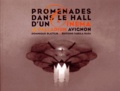 Dominique Blattlin - Promenades dans le hall d'un cinéma - Le Palladium Avignon.