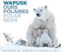 Bruno Sénéchal et Dorota Sénéchal - Wapusk ours polaires.