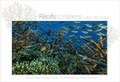 Lambert Wilson et Serge Planes - Récifs coralliens, coeur de l'océan.