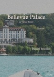 Daniel Bouillot - Bellevue Palace - La Vierge brisée.