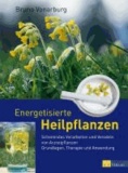 Bruno Vonarburg - Energetisierte Heilpflanzen - Schonendes Verarbeiten und Veredeln von Arzneipflanzen Grundlagen, Therapie und Anwendung.