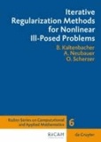 Iterative Regularization Methods for Nonlinear Ill-Posed Problems.