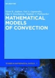 Mathematical Models of Convection.