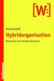 Hybridorganisation - Netzwerke und virtuelle Strukturen.
