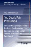 Top Quark Pair Production - Precision Measurements of the Top Quark Pair Production Cross Section in the Single Lepton Channel with the ATLAS Experiment.