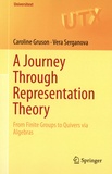 Caroline Gruson et Vera Serganova - A Journey through Representation Theory - From Finite Groups to Quivers via Algebras.