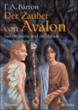 Der Zauber von Avalon 01 - Sieben Sterne und die dunkle Prophezeiung.