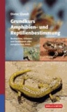 Grundkurs Amphibien- und Reptilienbestimmung - Beobachten, Erfassen und Bestimen aller europäischen Arten.