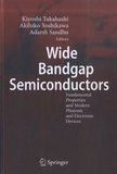 Kiyoshi Takahashi et Akihiko Yoshikawa - Wide Bandgap Semiconductors - Fundamental Properties and Modern Photonic and Electronic Devices.