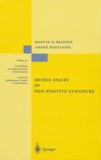 Martin-R Bridson et André Haefliger - Metric Spaces of Non-Positive Curvatures.